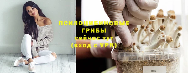 амф Вяземский