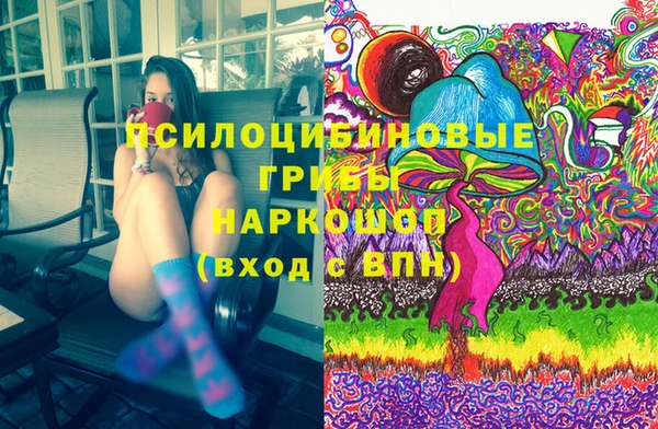 амф Вяземский