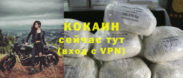 амф Вяземский