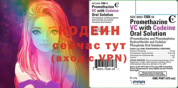 амф Вяземский